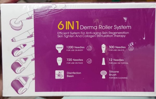 6 in 1 Derma Roller System